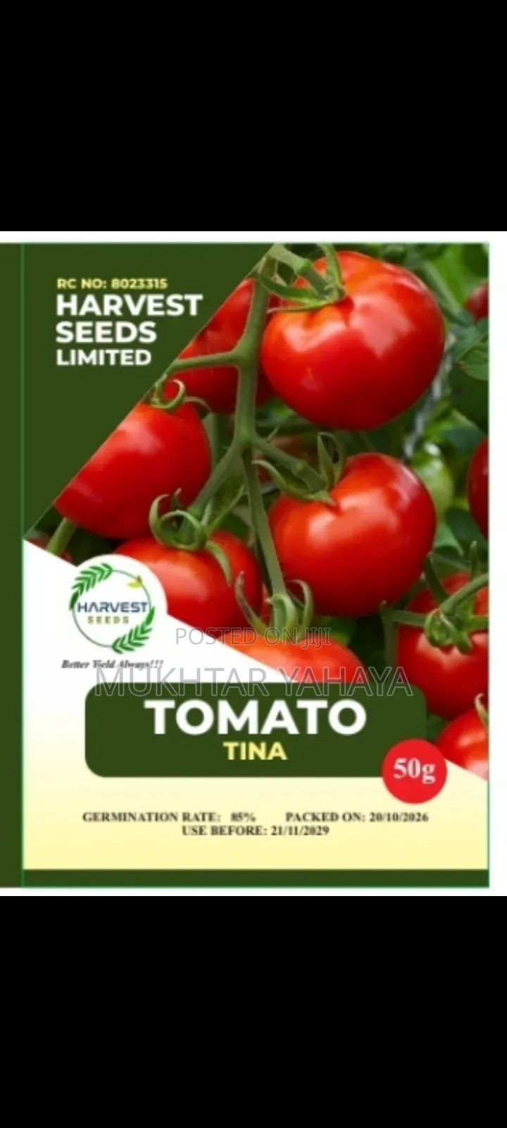 TOMATO, Tina