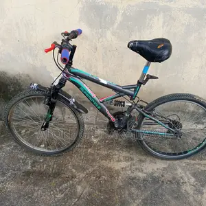 Clean Adult Bicycle