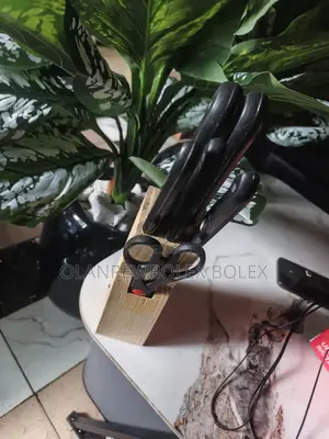 Knife in a Set