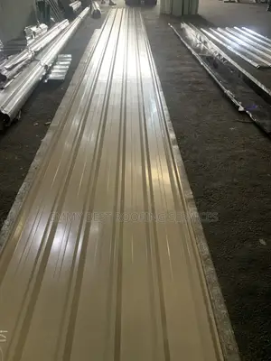 Emmy Best Roofing Services: Long Span 0.50