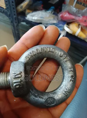 Galvanized Eye Bolts M16