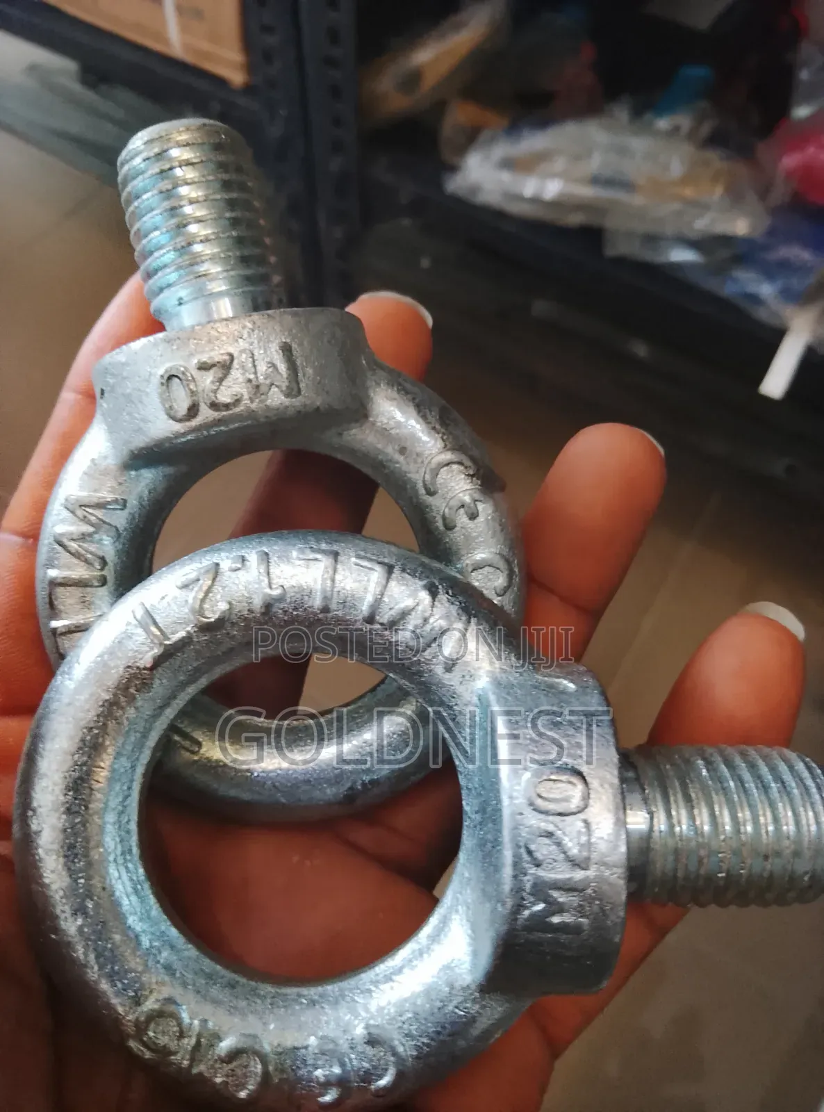 Galvanized Eye Bolts M20