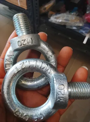 Galvanized Eye Bolts M20