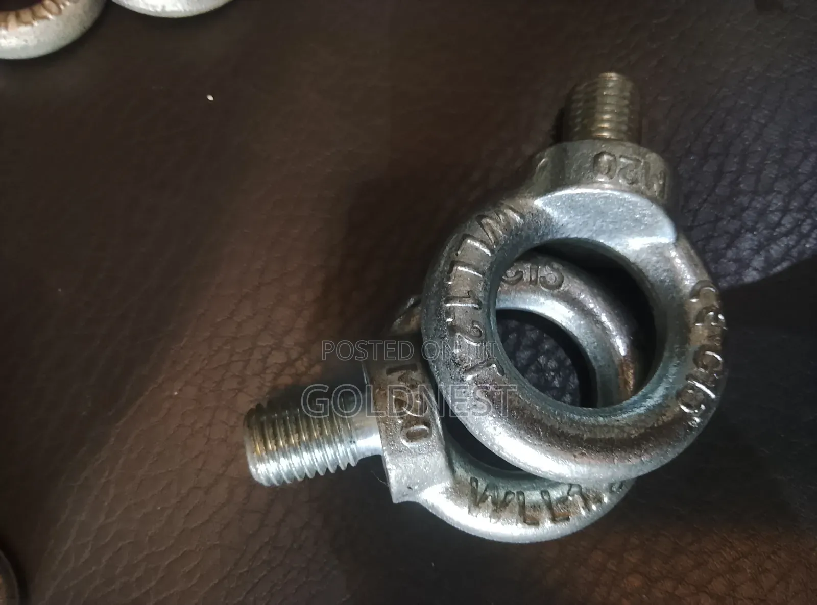 Galvanized Eye Bolts M20
