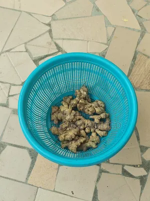 Ginger, Fresh Ginger in Badagry