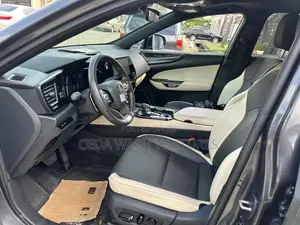 Lexus NX 350 AWD 2024 Gray