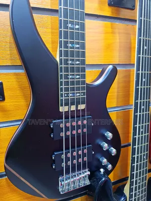 Ibanez Six String Professional Standard Bass Electric Guitar