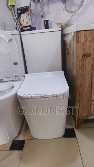 Back-to-Wall Water Closet With a Soft-Closing Seat Cover.