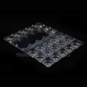 Transparent Egg Crate