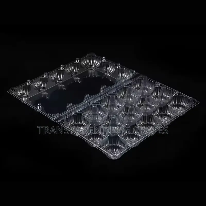 Transparent Egg Crate