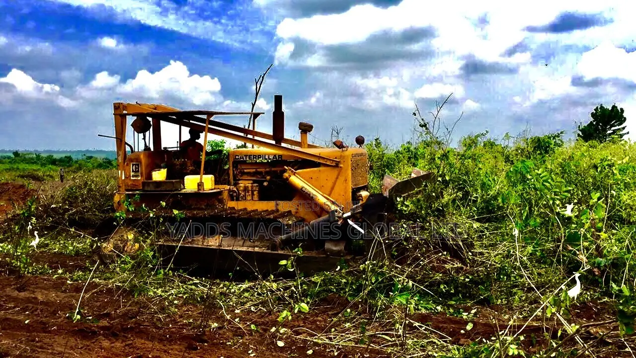 Bush Clearing With D8K Bulldozer