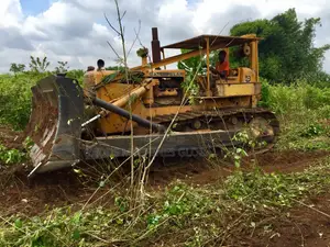 Bush Clearing With D8K Bulldozer