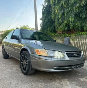 Toyota Camry 2010 Gray