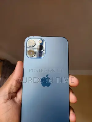 Apple iPhone 12 Pro Max 256 GB Blue