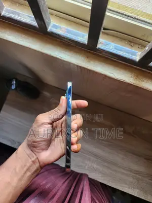 Apple iPhone 12 Pro Max 256 GB Blue