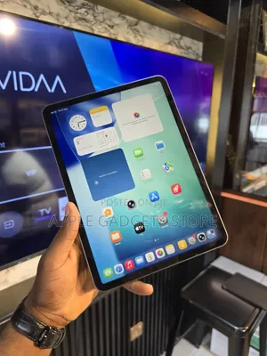 Apple iPad Pro 256 GB Gray