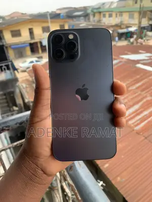 Apple iPhone 12 Pro Max 128 GB Gray