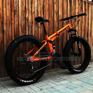 Adult Big Tyre Bicycle