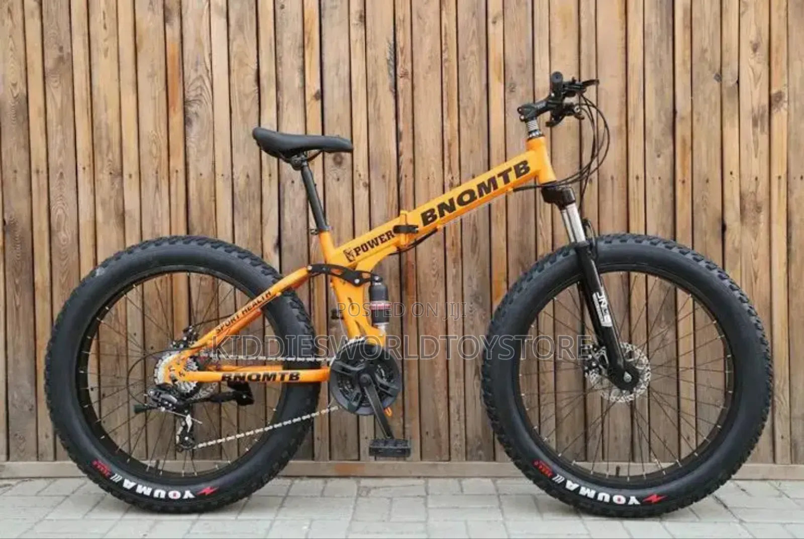 Adult Big Tyre Bicycle