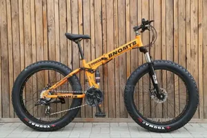Adult Big Tyre Bicycle