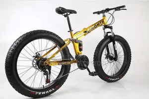 Adult Big Tyre Bicycle