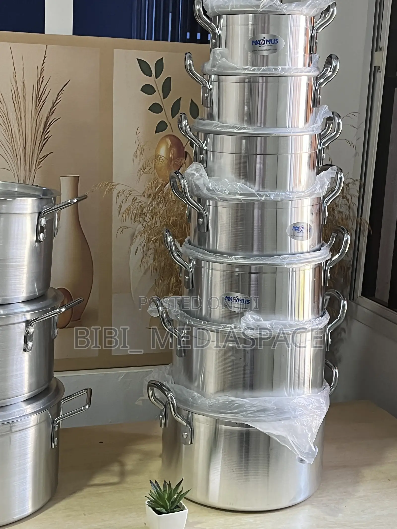 Aluminum Pot