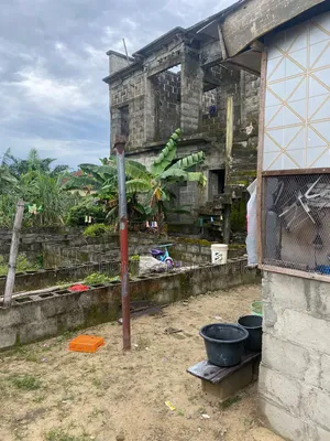 Half Plot of Land