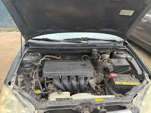 Toyota Corolla LE 2007 Gray