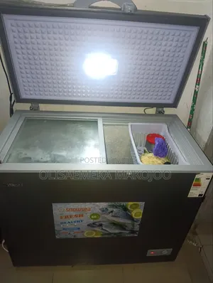Neatly Used Snow Sea 220L Deep Freezer