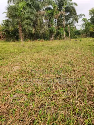 A Plot of Land for Sale