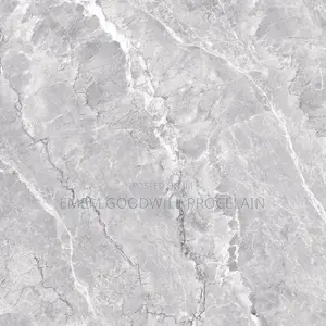 Goodwill Ceramics Tiles 60x60cm Granite Tiles