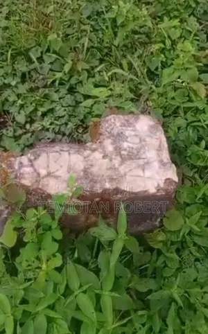 Half Plot of Land at Mowe