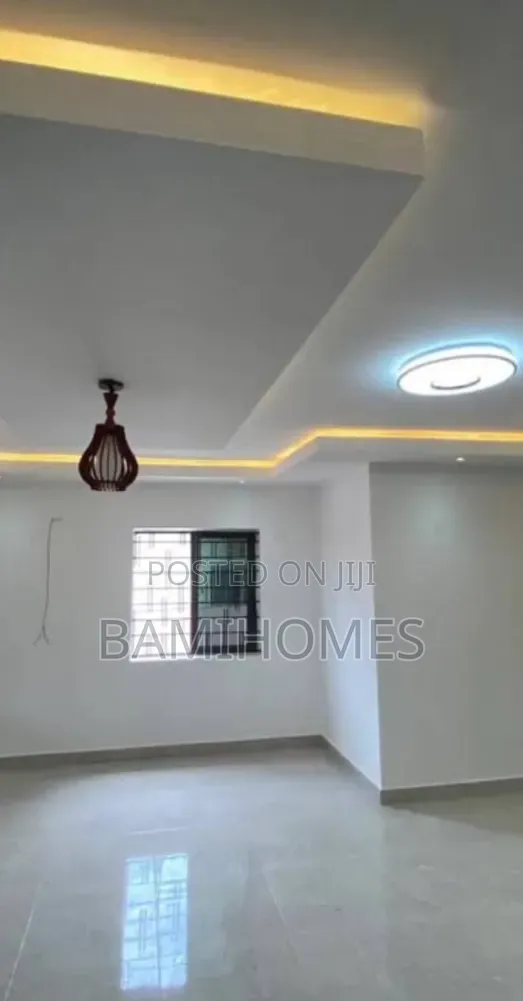 Proffesional Painter in Lekki