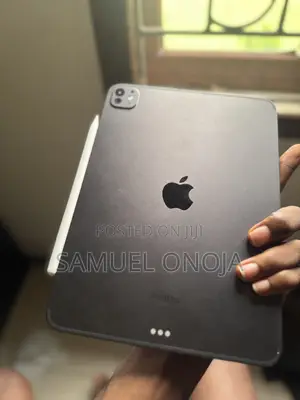 Apple iPad Pro 11 (2024) 256 GB Gray