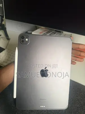 Apple iPad Pro 11 (2024) 256 GB Gray