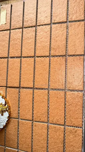 2/4 Orange Mosaic Bricks