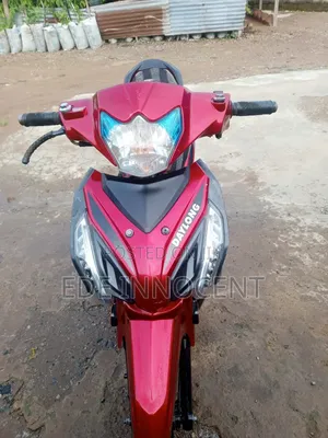Daylong DL110-2 2024 Red