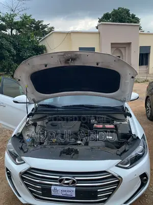Hyundai Elantra ECO Sedan FWD (1.4L 4cyl 7A) 2017 White