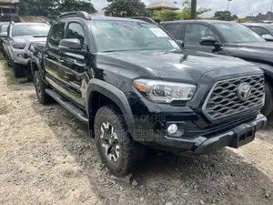 Toyota Tacoma TRD Pro 2019 Gray