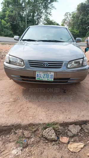 Toyota Camry 2010 Gray