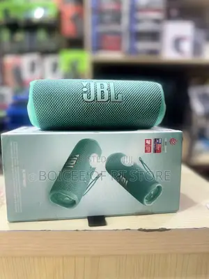 JBL Flip 6