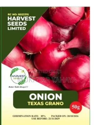 ONION, Texas Grano