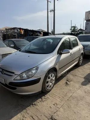 Peugeot 307 2005 Silver