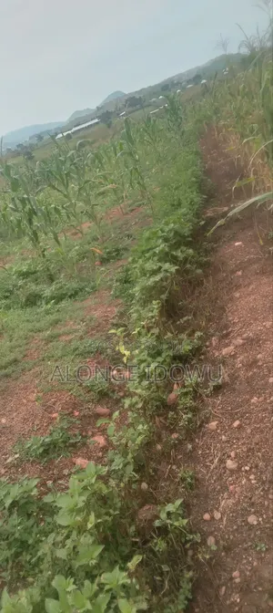 Land for Sale (100x100) 1000 SQM