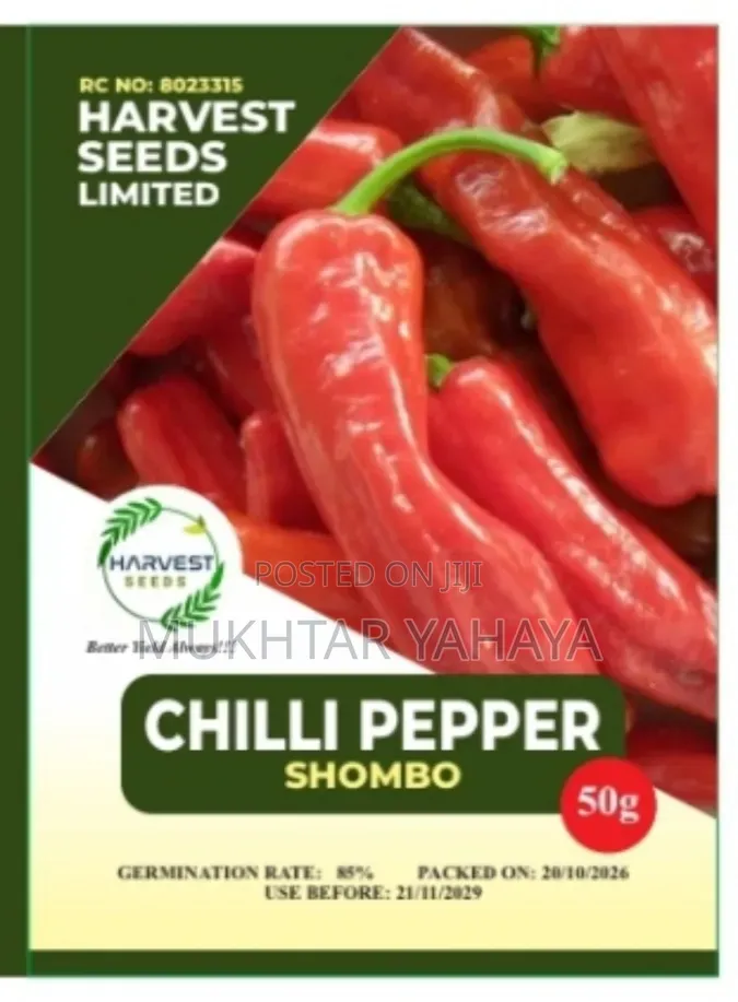 Chilli Pepper, Shombo