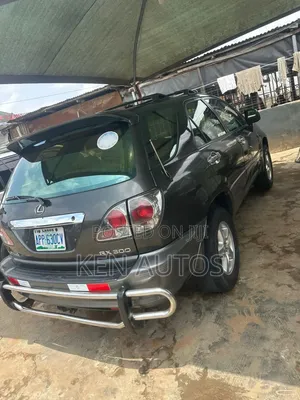 Lexus RX 2003 Gray