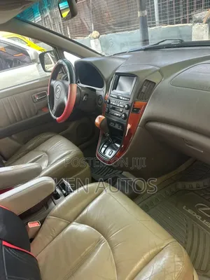Lexus RX 2003 Gray