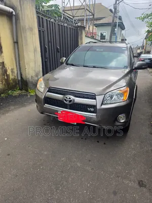 Toyota RAV4 2010 Gray