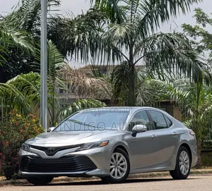 Toyota Camry LE (2.5L 4cyl 8A) 2019 Gray