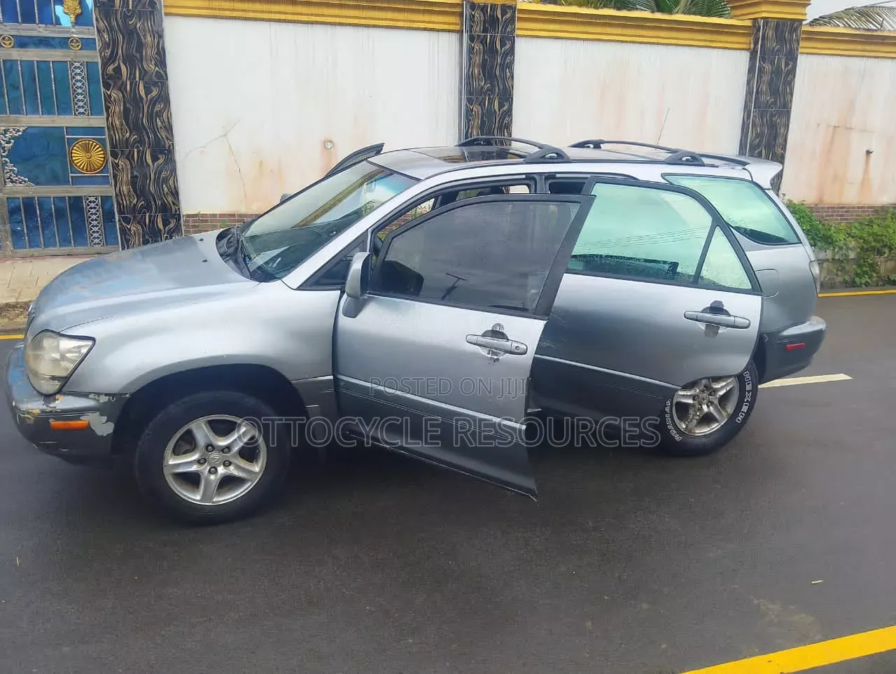 Lexus RX 2003 Silver